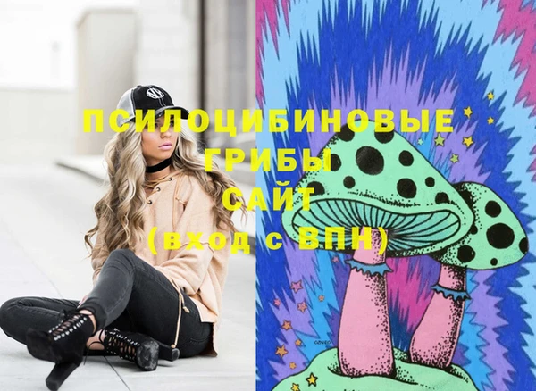 ГАЛЛЮЦИНОГЕННЫЕ ГРИБЫ Белоозёрский