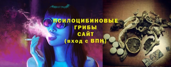 соль курить ск Белокуриха