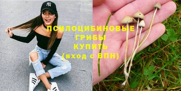 индика Богородицк