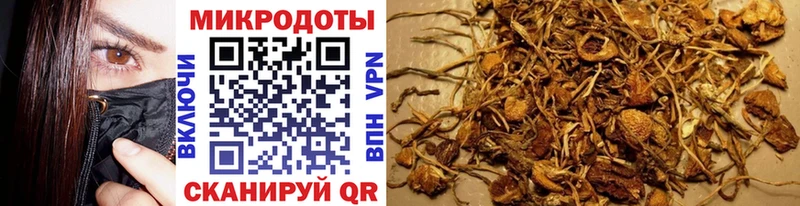 Галлюциногенные грибы Magic Shrooms  omg рабочий сайт  Волжск 